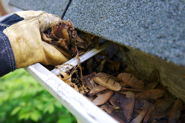 Gutter Cleaning by ArborScaper Tree & Landscape in Rochester and Monroe County NY